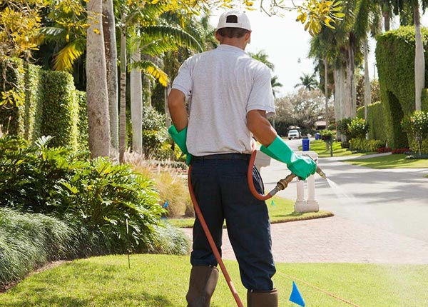About Kirkland AZ Pest Control
